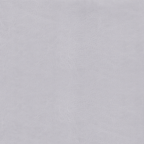 Belluno Light Grey: PMS-429C