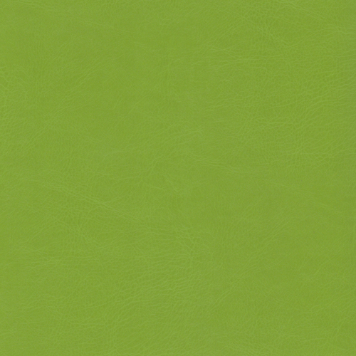 Belluno Lime: PMS-2276C