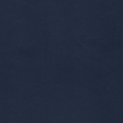 Belluno Navy: PMS-539C