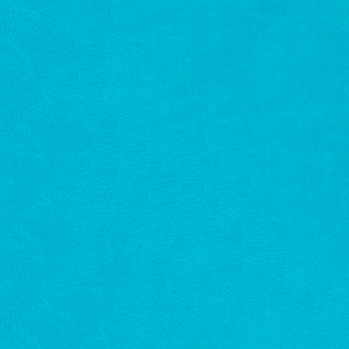 Belluno Sky Blue: PMS-2995C