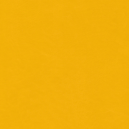 Belluno Yellow: PMS-124C