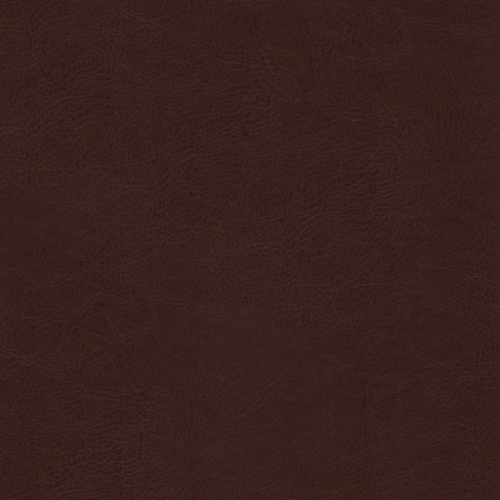 Chocolate Brown: PMS-2449C